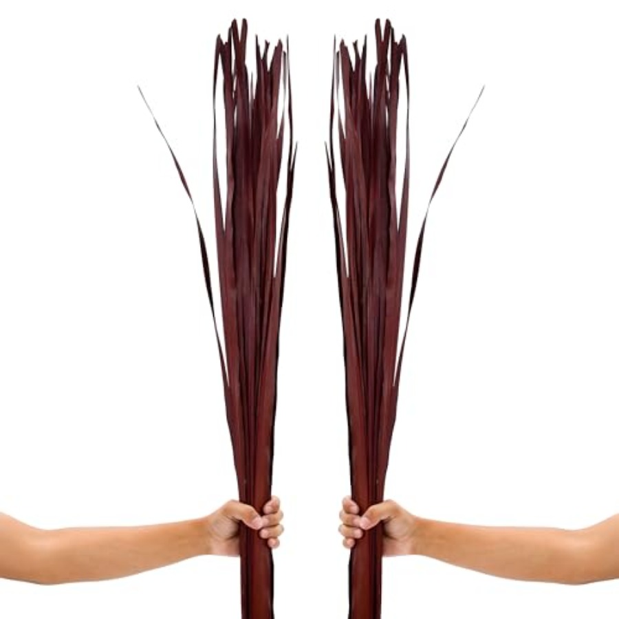 Tall Vase Filler, Dried Palm L – обзор и цена Palm Leaf Dried