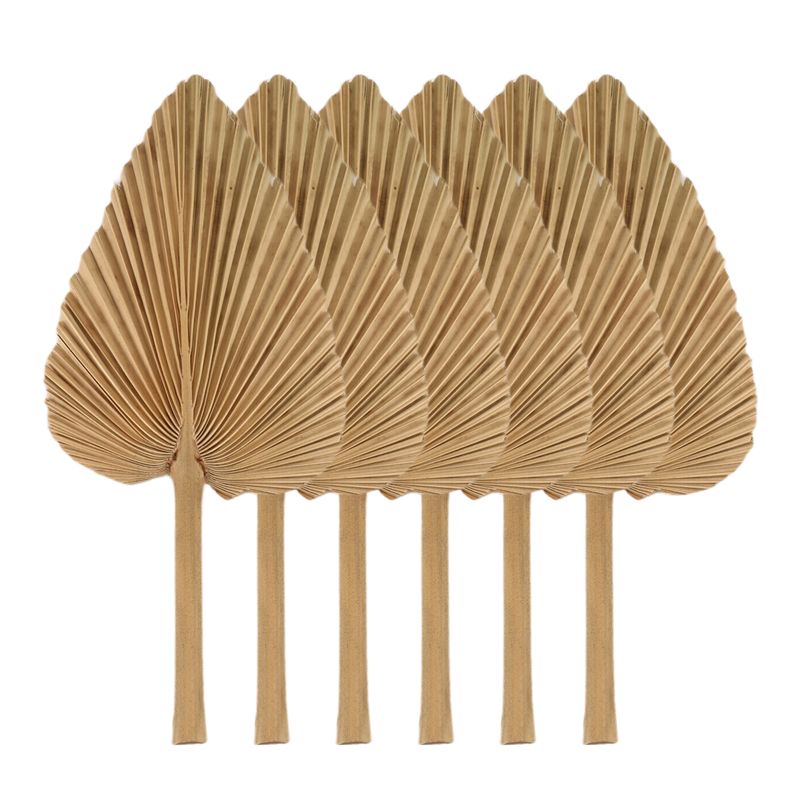 AT84-6PCS Dried Palm Leaves Na – обзор и цена Palm Leaf Dried