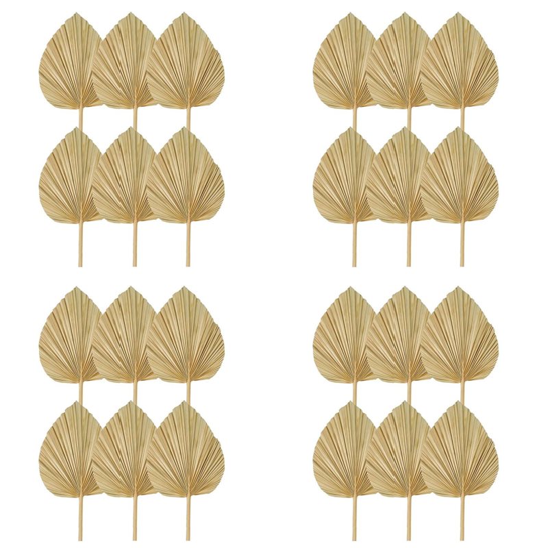 【CHRISTMAS 】24PCS Dried Palm L – обзор и цена Palm Leaf Dried