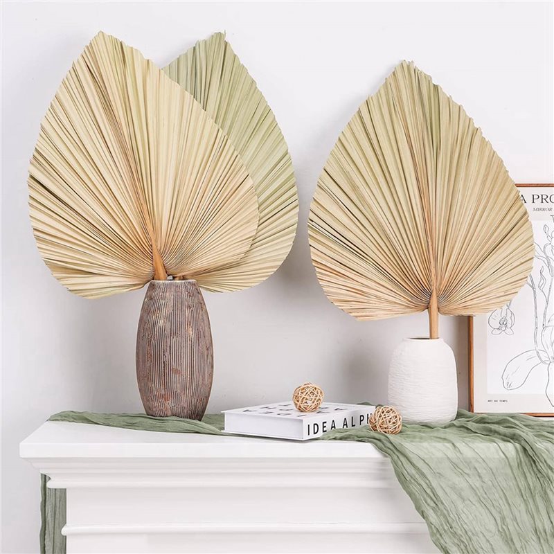 【CHRISTMAS 】24PCS Dried Palm L – обзор и цена Palm Leaf Dried