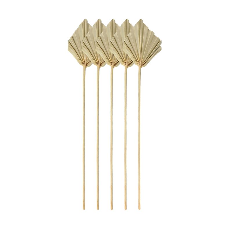 A67P-Boho Dried Palm Spears Sm – обзор и цена Palm Leaf Dried