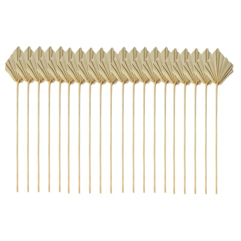 ABYN-Boho Dried Palm Spears Sm – обзор и цена Palm Leaf Dried