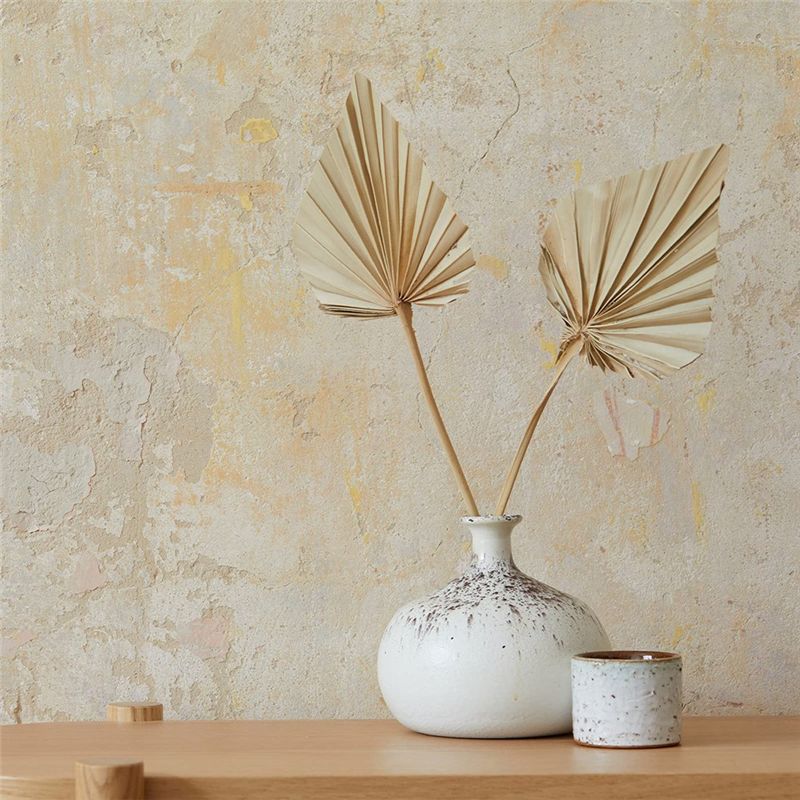 ABYN-Boho Dried Palm Spears Sm – обзор и цена Palm Leaf Dried