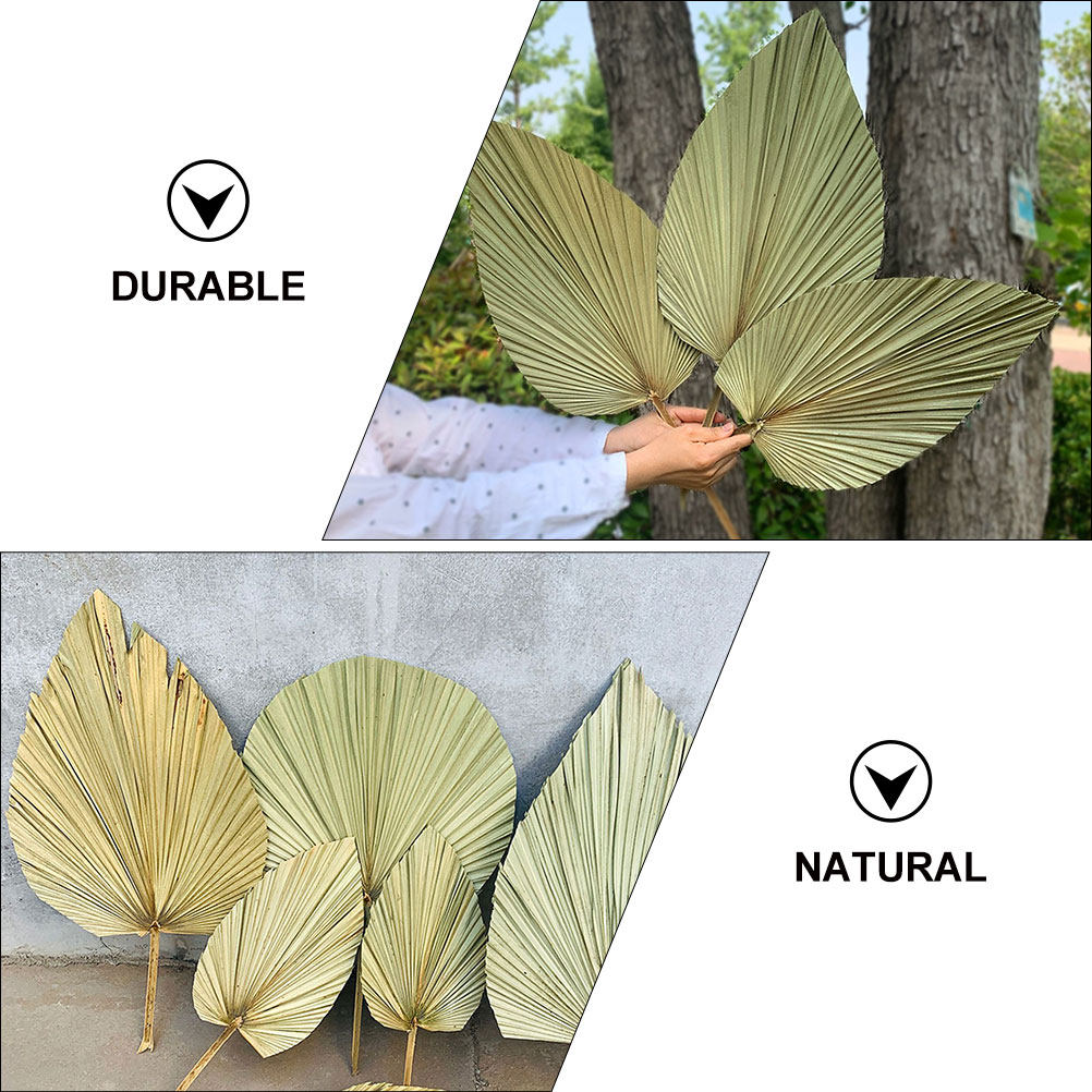 1Pcs Natural Dried Palm Leaf O – обзор и цена Palm Leaf Dried