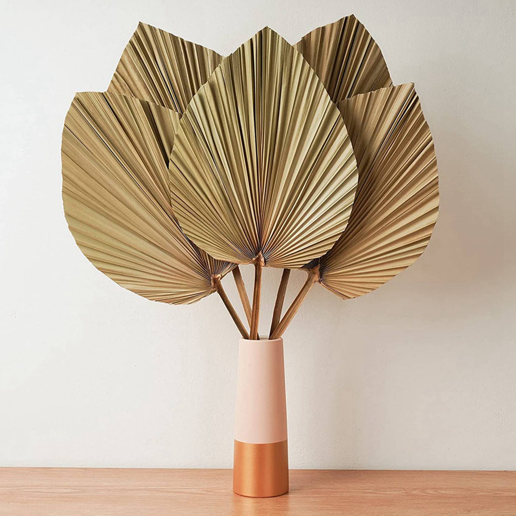 Dried Palm Leaves Room Decor 1 – обзор и цена Palm Leaf Dried