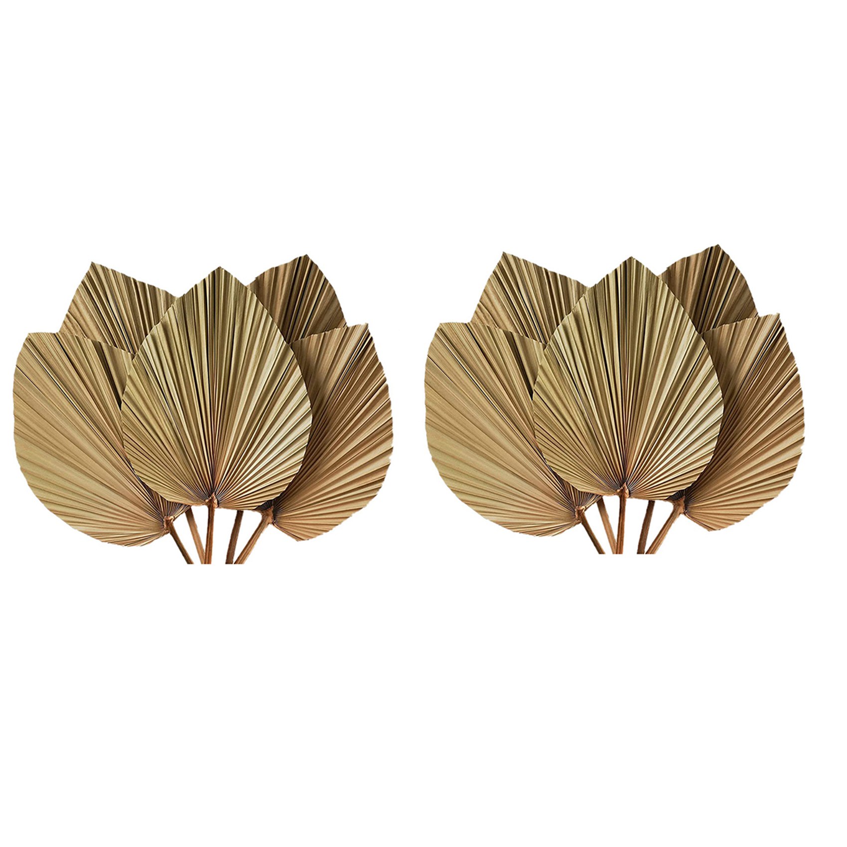 Dried Palm Leaves Room Decor 1 – обзор и цена Palm Leaf Dried