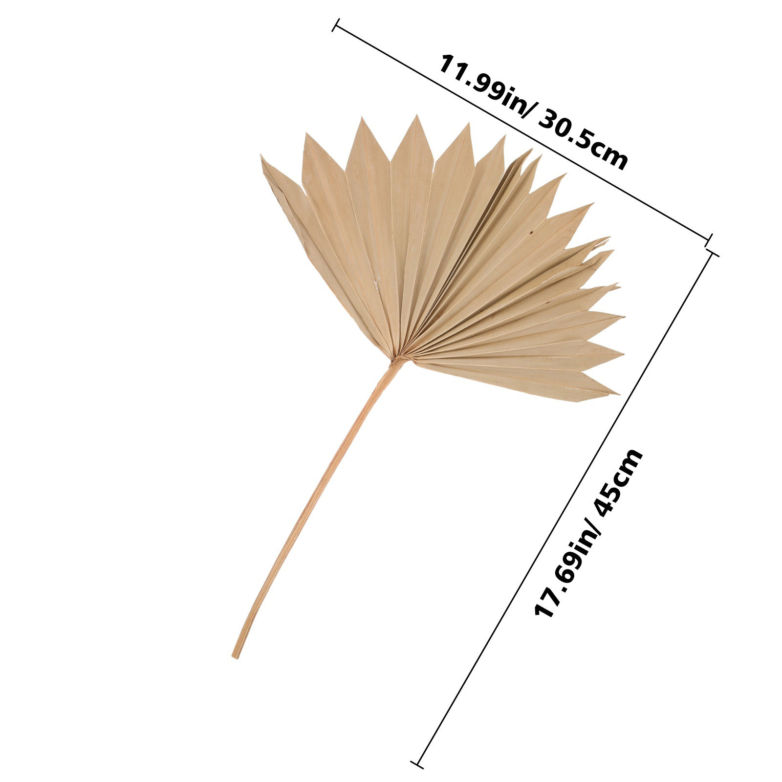4Pcs Dried Palm Leaf Decoratio – обзор и цена Palm Leaf Dried