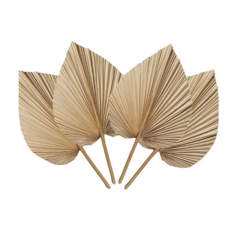 A27F-6Pcs Natural Tropical Dri – обзор и цена Palm Leaf Dried
