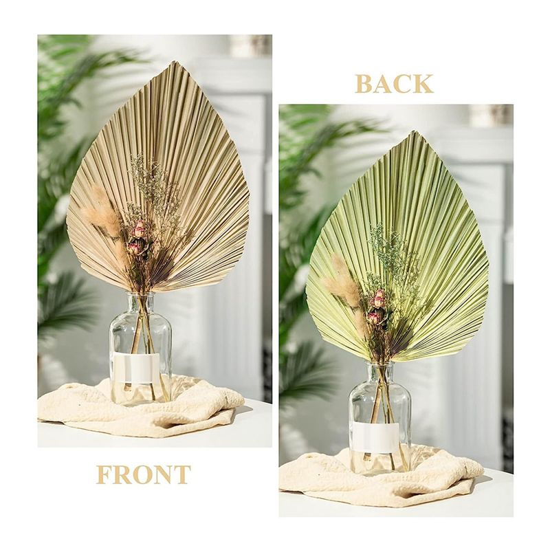 A27F-6Pcs Natural Tropical Dri – обзор и цена Palm Leaf Dried