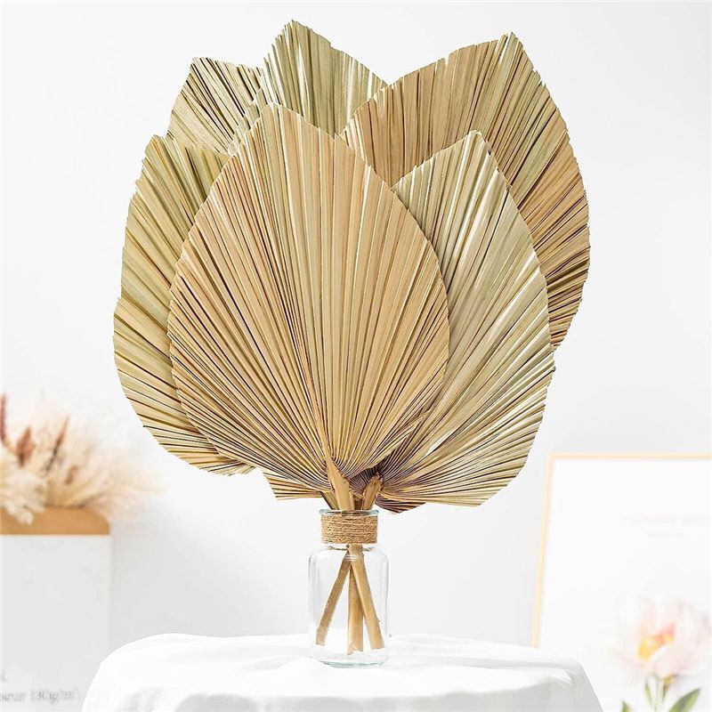 A27F-6Pcs Natural Tropical Dri – обзор и цена Palm Leaf Dried
