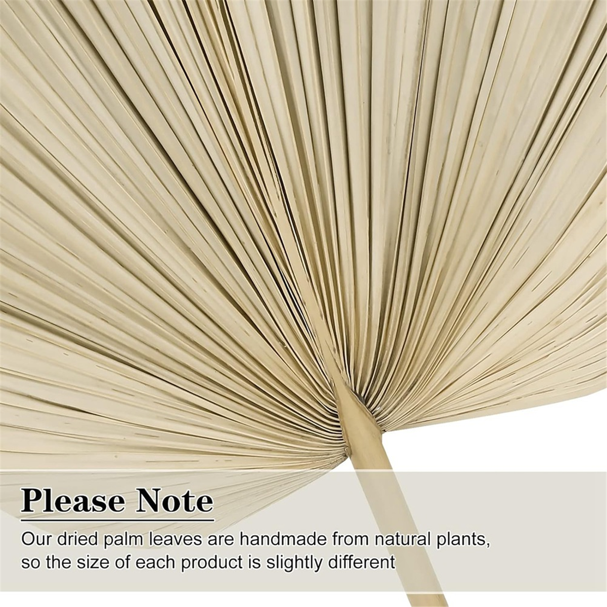 Good 6PCS Dried Palm Leaves Na – обзор и цена Palm Leaf Dried