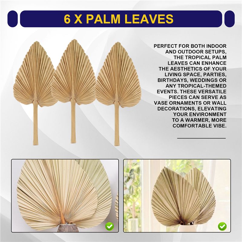 ABKO-6PCS Dried Palm Leaves Na – обзор и цена Palm Leaf Dried