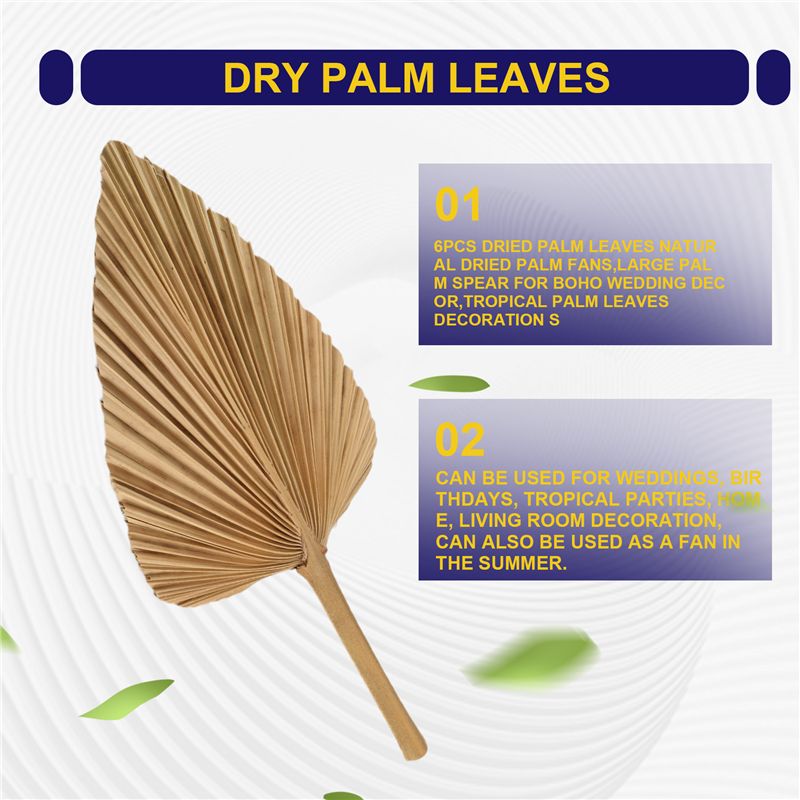 ABKO-6PCS Dried Palm Leaves Na – обзор и цена Palm Leaf Dried